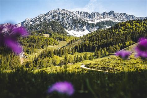 Kitzbüheler Alpen Sommer Card Landhaus Ager