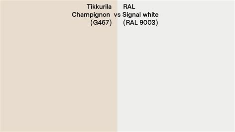 Tikkurila Champignon G Vs Ral Signal White Ral Side By Side