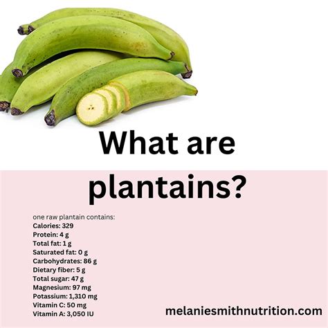 What are plantains?