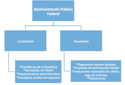 Enseguida Se Desglosan Las Funciones Y Atribuciones De La