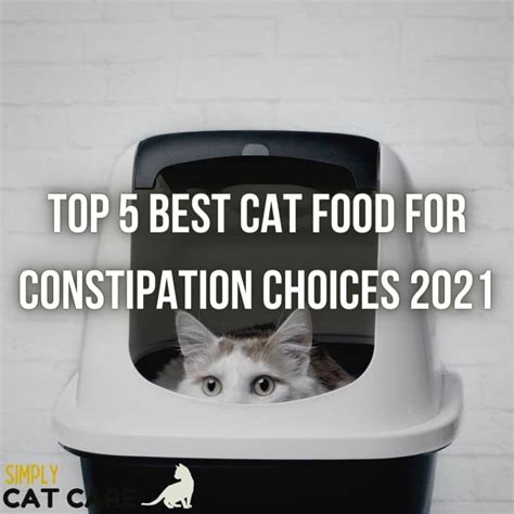 5 Best Wet Cat Food For Senior Cats 2022 Simply Cat Care