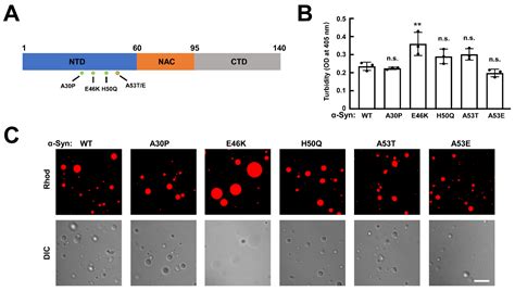 Biomolecules Free Full Text Distinct Effects Of Familial Parkinson