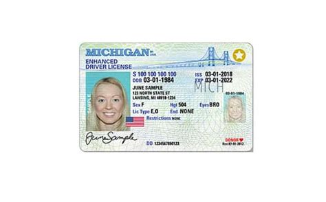 Enter Your Michigan Driver License Or State Identification Number Geiyrop