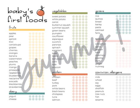 Baby Food Tracker Babys First Food Checklist Baby Food Etsy