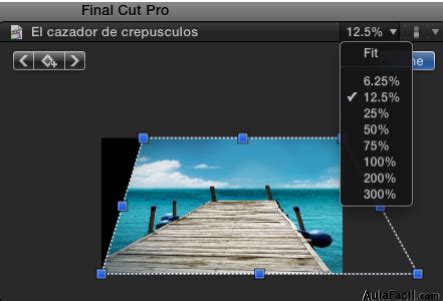 Distorsionar Final Cut Pro X