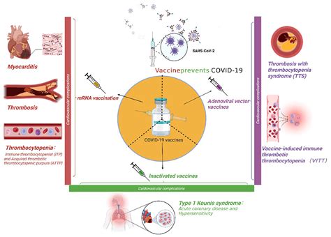 Frontiers Cardiovascular Complications Of Covid Vaccines