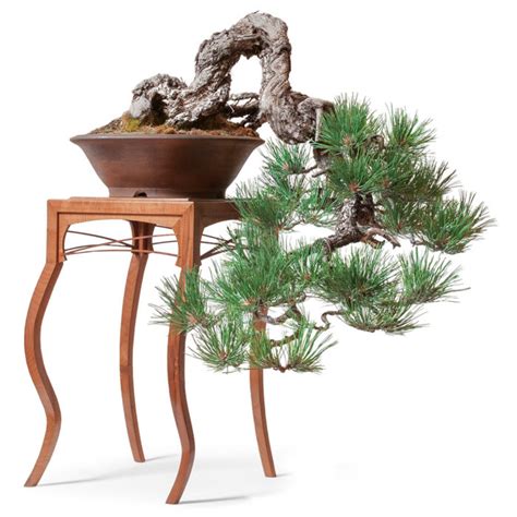 Bonsai stands, inspired by nature - FineWoodworking