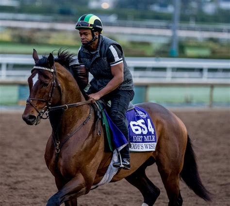 Breeders’ Cup Career Bow Approaches for Fan Favorite Cody’s Wish