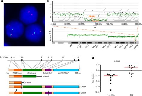 Fish Array Cgh Expression And Mutation Analyses Of The Traf3 Gene In