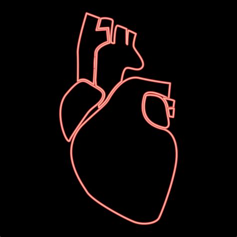 Neon Human Heart Icon Black Color In Circle Red Color Vector