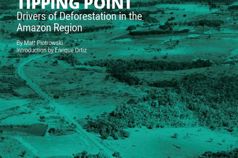 Nearing The Tipping Point Drivers Of Deforestation In The Amazon Region Sos Orinoco