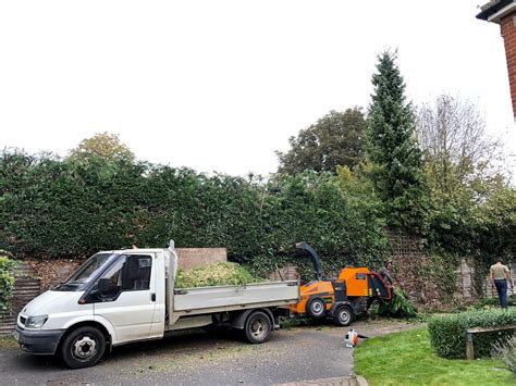 Professional Tree Surgeon Cork | Cork Tree Services 