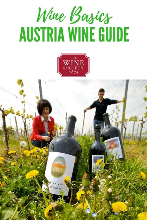 The Ultimate Guide To Austrian Wine Wine Region Wine Map Wine