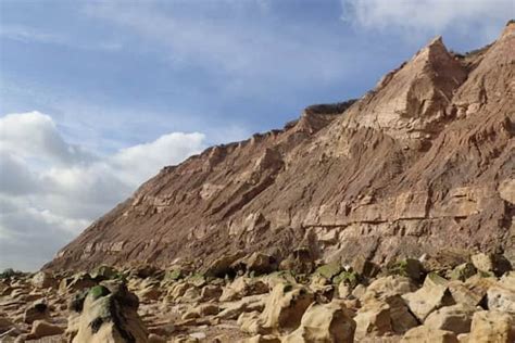 ˜largest And Best Preserved Set Of Dinosaur Footprints Found Near Hastings