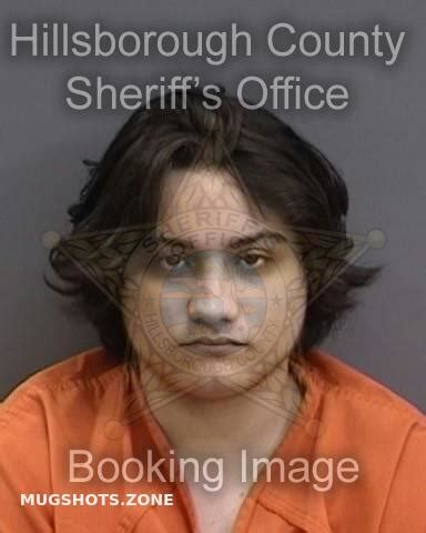 Patrinostro Christopher Hillsborough County Mugshots Zone