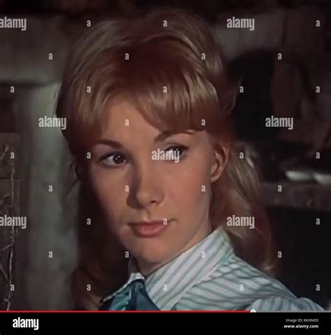 Susan Hampshire Hi Res Stock Photography And Images Alamy