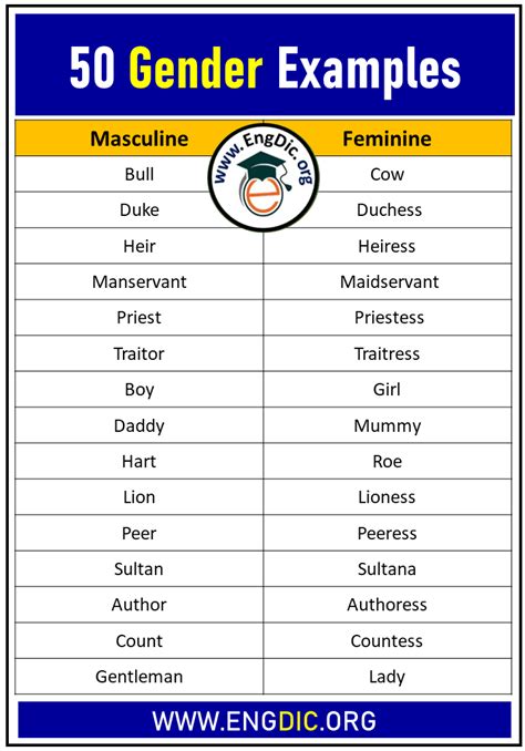 50 Gender Examples In English Masculine And Feminine Engdic