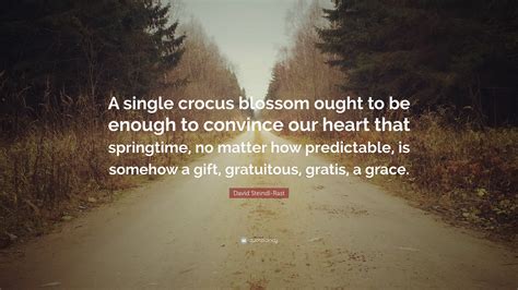 David Steindl Rast Quote A Single Crocus Blossom Ought To Be Enough