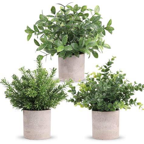 Der Rose 3 Pack Mini Potted Fake Plants Artificial Plastic Eucalyptus