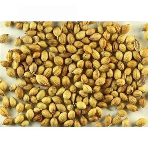 Dried Pure Coriander Seeds For Cooking Packaging Size Kg At Rs