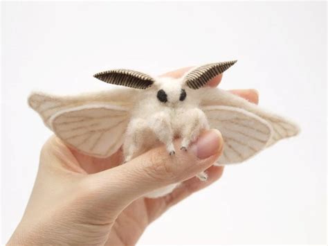 10 Venezuelan Poodle Moth Facts - Fact Animal