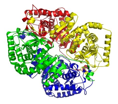 Cytotoxicity Ldh Assay Kit Blog