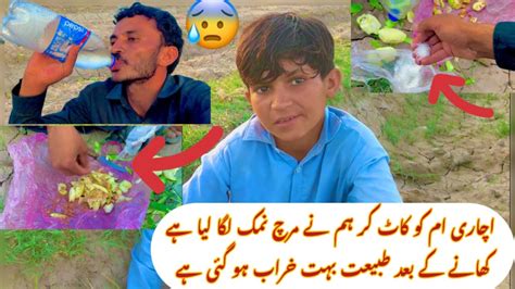 اچاری ام کو کاٹ کر ہم نے مرچ نمک لگا لیا ہے کھانے کے بعد 🥭طبیعت بہت