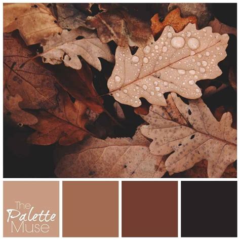 Rusty Fall Leaves Palette - The Palette Muse