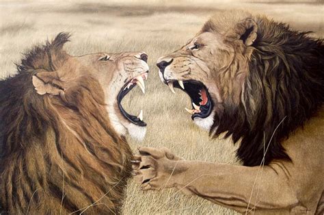 Image - Fighting-Lions.jpg | Roleplay Forum Wikia | FANDOM powered by Wikia