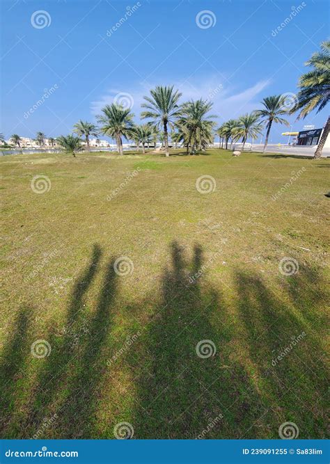As Seeb Park, Muscat, Oman stock image. Image of field - 239091255