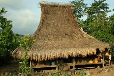 Rumah Adat Sao Ata Mosa Lakitana Asal Daerah Nusa Tenggara Timur ...