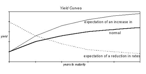La Curva Dei Tassi Di Interesse