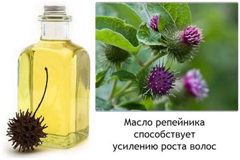 Касторовое или репейное масло - что лучше для волос и ресниц?