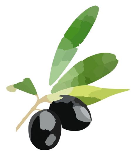 Olive Pixabay Shutterstock Stock Xchng Clip Art Png X Px