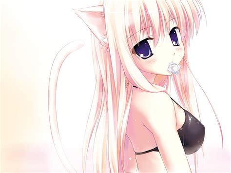 1366x768px 720p Free Download Cute Catgirl Cute Catgirl Hot Blonde Anime Girl Sexy