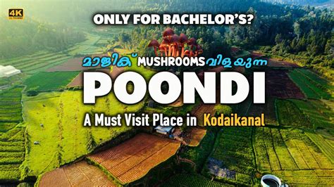 Poondi Land Of Magic Mushrooms A Must Visit Place In Kodaikanal