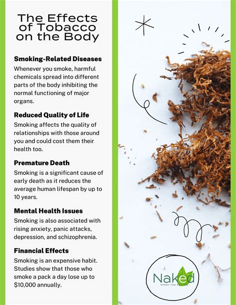 Tobacco Free Cigarettes The Effects Of Tobacco On The Body