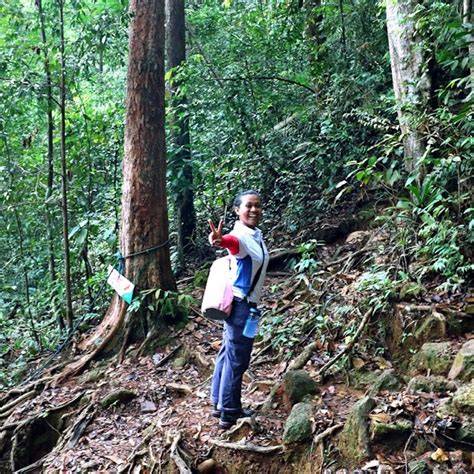 Gunung Lambak - X-Trekkers