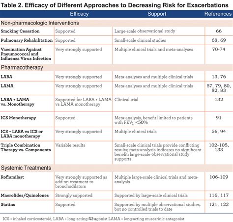 Prevention Of Copd Exacerbations Journal Of The Copd Foundation