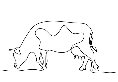 Grazing cow in continuous line art drawing 3144260 Vector Art at Vecteezy