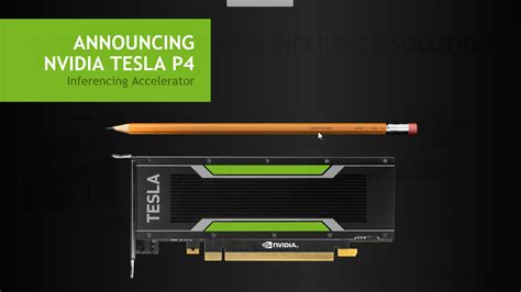 Nvidia Tesla P4 Und P40 Werten Daten Aus Deep Learning Netzwerken Aus Hardwareluxx