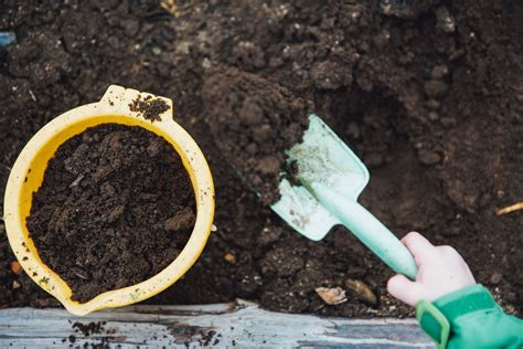 5 Easy Ways To Improve Your Garden Soil