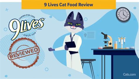 Unbiased 9 Lives Cat Food Review In 2023