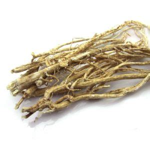 Huang Qi (Milkvetch, Radix Astragali): 14 Benefits of this TCM Root