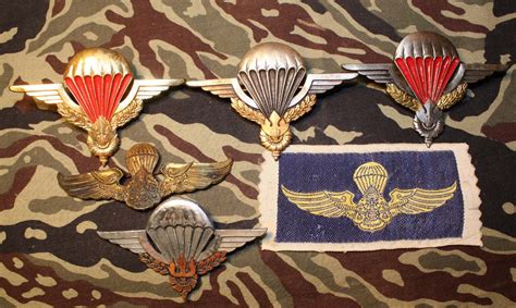 Laos Parachute Jump Wings And Insignia Other Asian Nations World