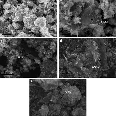 sem images  samples  lto  ltog  wt  ltog  wt