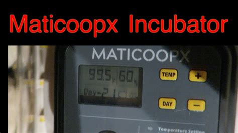 Maticoopx Incubator Youtube