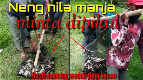 Hasil Mancing Nila Riam Kanan YouTube