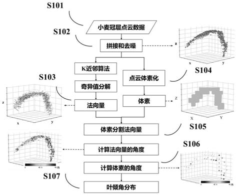 一种基于体素分割法向量算法的小麦冠层叶倾角分布自动估算方法