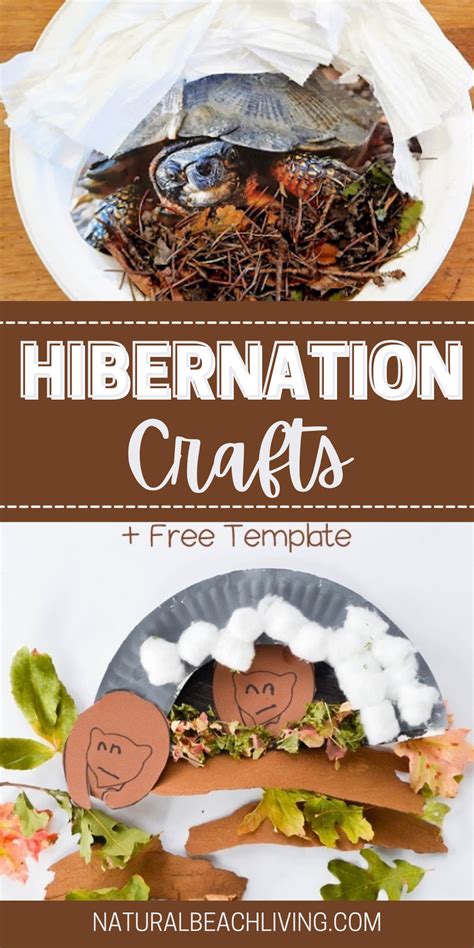 Hibernation Crafts for a Winter Animal Theme - Natural Beach Living